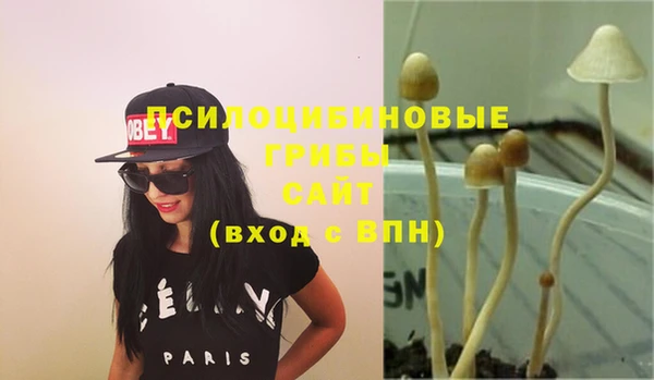 тгк Балахна
