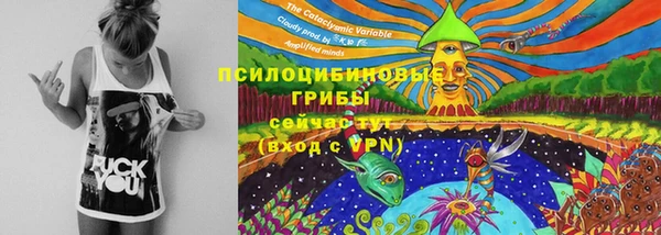 тгк Балахна