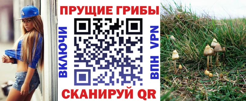 Галлюциногенные грибы Cubensis  закладка  Шарыпово 